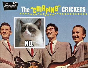 The Chirping Crickets Destroyed my Webinar Recording and boy I am annoyed! Life and business can just full of setbacks at times!